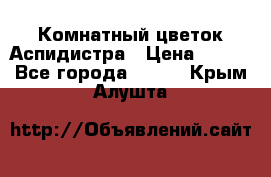 Комнатный цветок Аспидистра › Цена ­ 150 - Все города  »    . Крым,Алушта